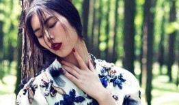 刘雯最新圈圈爆料,揭秘时尚圈幕后故事